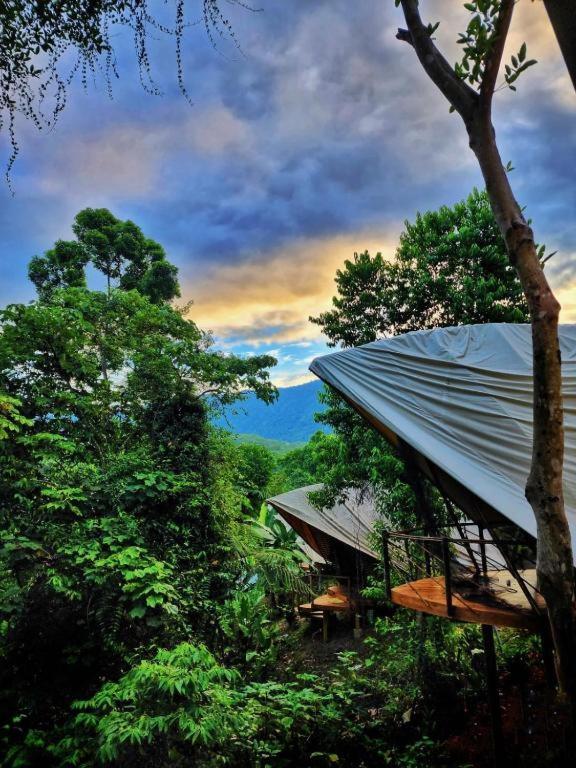 Jungle Gayborhood Hotel And Retreat Center San Luis  Exteriör bild