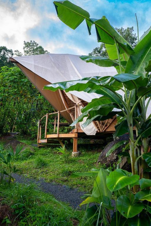 Jungle Gayborhood Hotel And Retreat Center San Luis  Exteriör bild