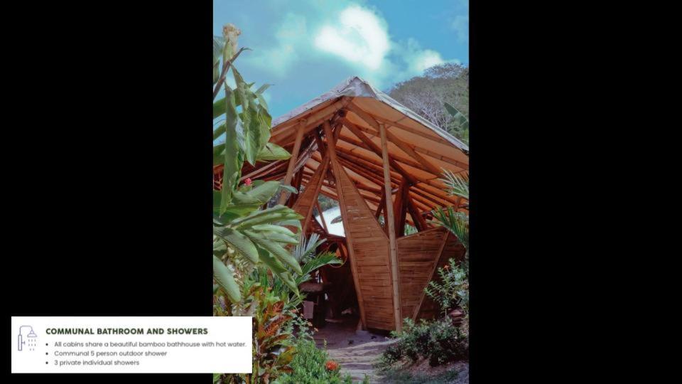 Jungle Gayborhood Hotel And Retreat Center San Luis  Exteriör bild