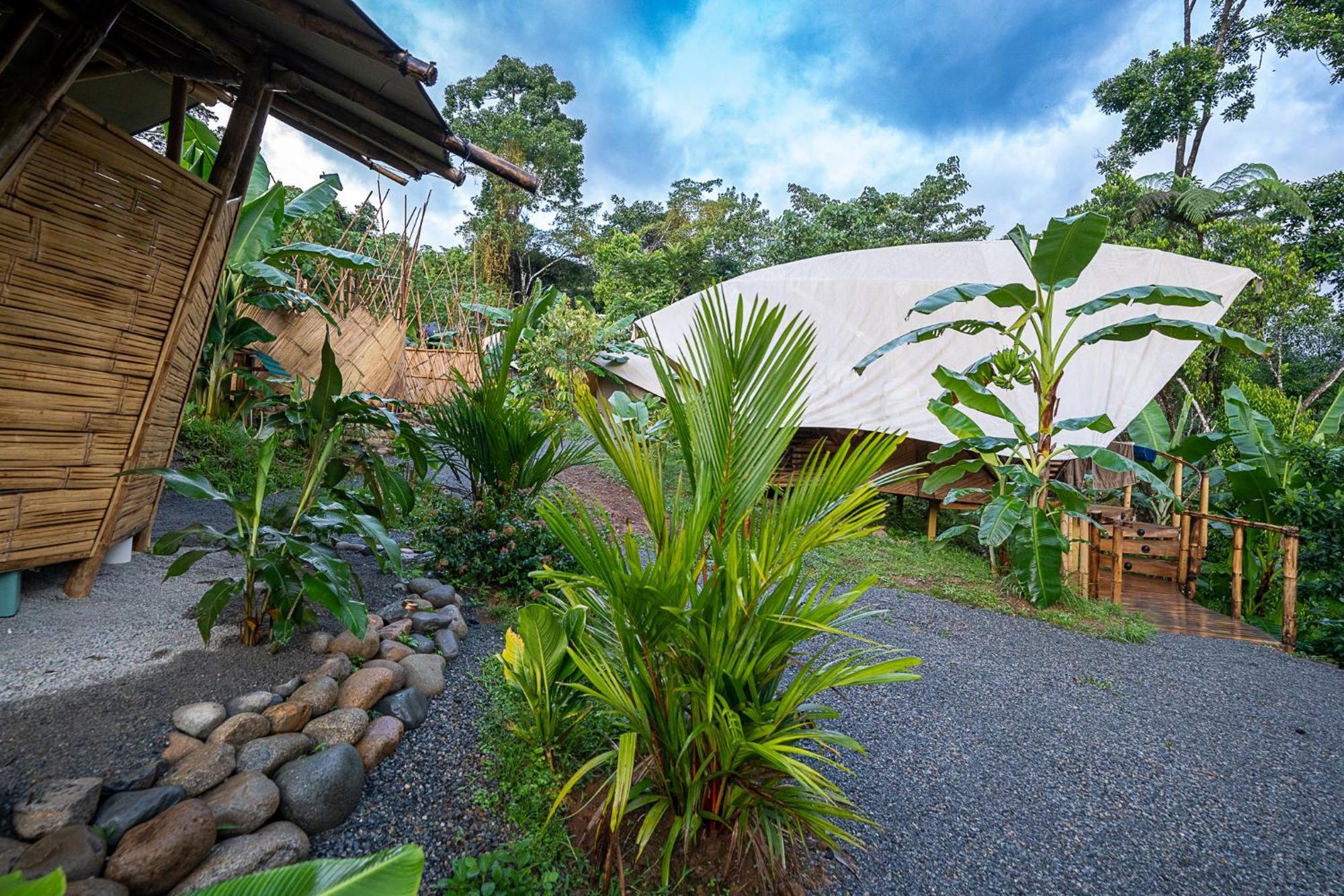 Jungle Gayborhood Hotel And Retreat Center San Luis  Exteriör bild