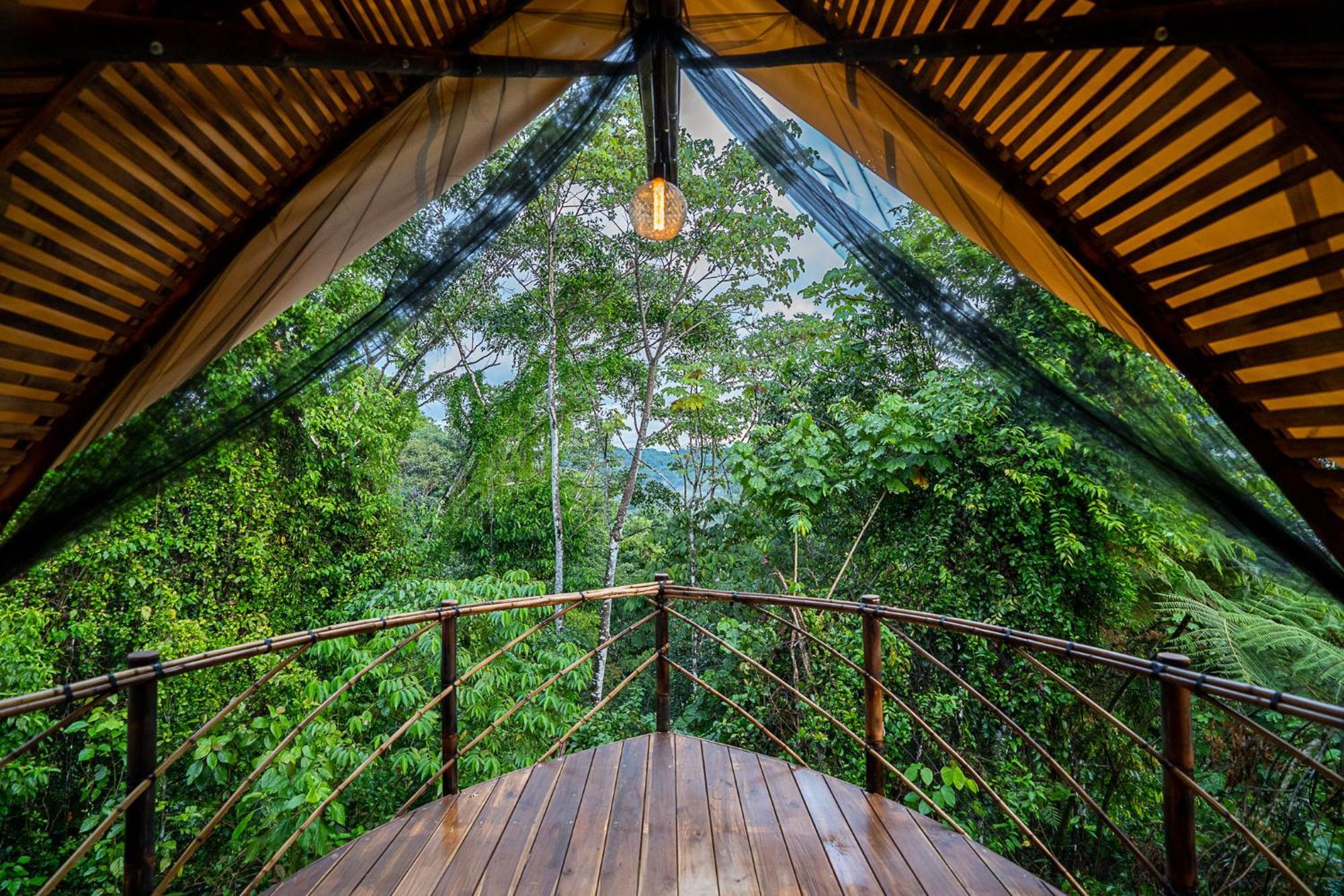 Jungle Gayborhood Hotel And Retreat Center San Luis  Exteriör bild